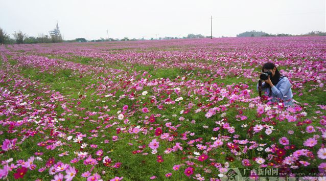 【2018年终盘点】小美景大广西,领略2018年广西醉美瞬间