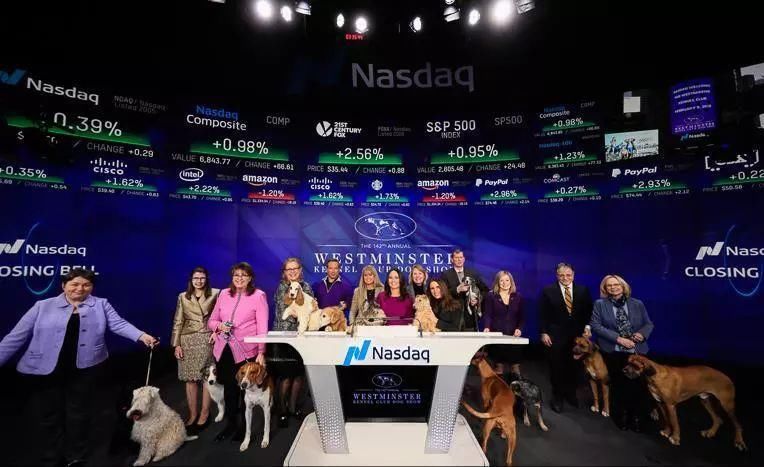 雷军上市敲钟穿得像新郎，画风喜庆我不敢看，史上最全敲钟攻略