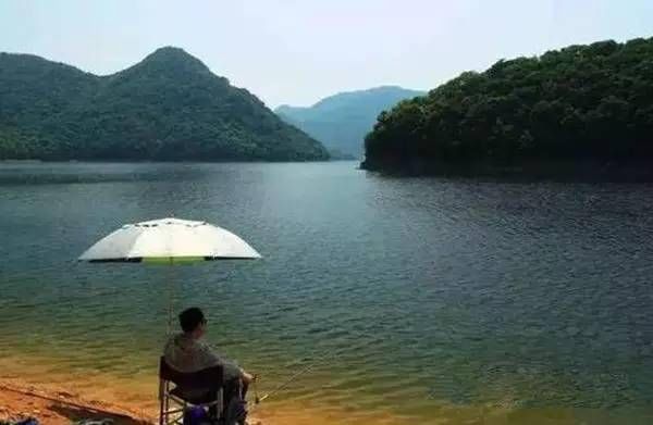  [小顿口]你以为提竿快就能抓对鱼口么？时机不对，提竿快反而容易惊鱼
