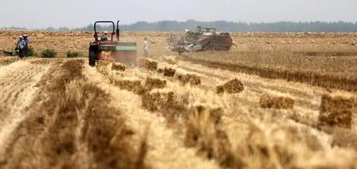 2019年农村秸秆还田的2大弊端，最少损失3万，知道的人不多