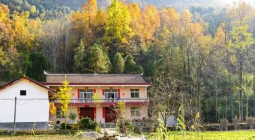  【医保】在农村，这三类农民哪怕不交医保，也能享受医保待遇！