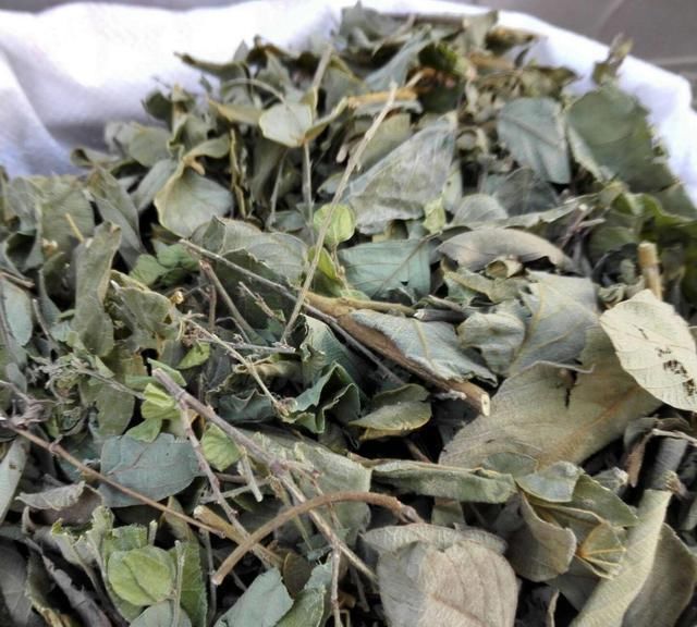  寓意■山里一种野草寓意好，自带“招财”好彩头，价值高见到别破坏