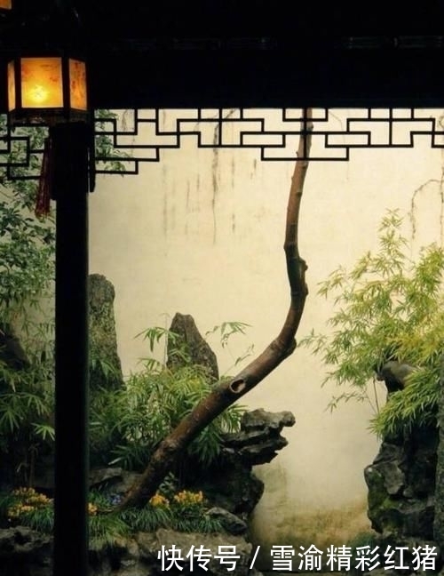 「院子里」想要个这样的小院子,门前屋后种满花,日子慢悠悠!