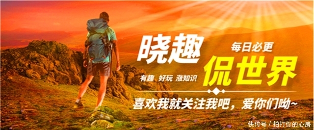 全球最怪的酒店？没电没网，租一晚两百美金，旅客们却抢着入住！