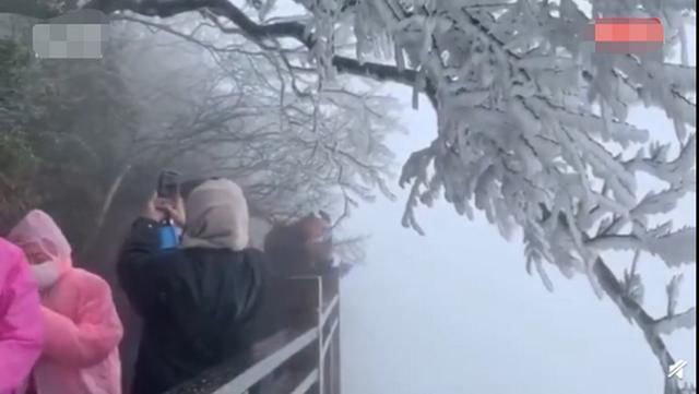 张家界雾凇今冬首秀，行走在栈道上，“琼枝玉叶”从头顶掠过