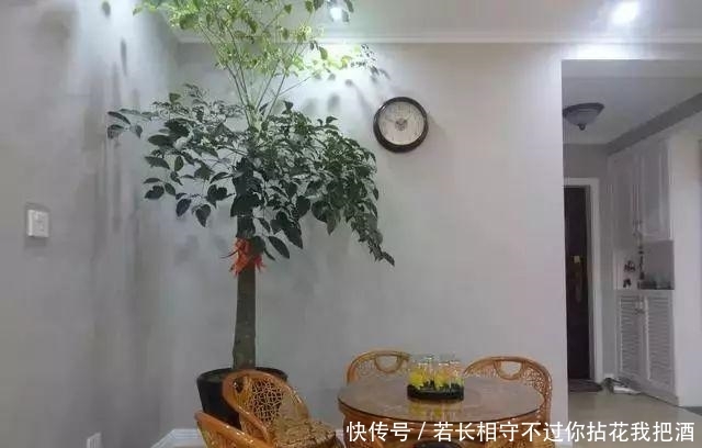 『一楼』不顾家人反对买了一楼,全家人都不理我,装完后都不敢吭声了