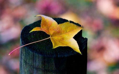 秋分时节养生 8招赶走感冒