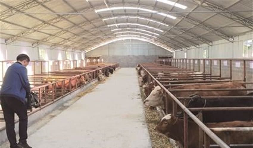  心上：农村宅基地“大洗牌”，这4种情况将被回收整治，别不放在