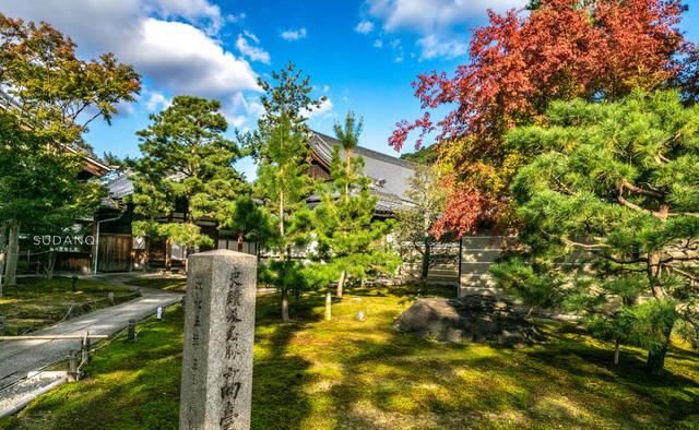 印度大黑天怎么传到日本去了？俗称僧侣之妻，它在中国十分盛行