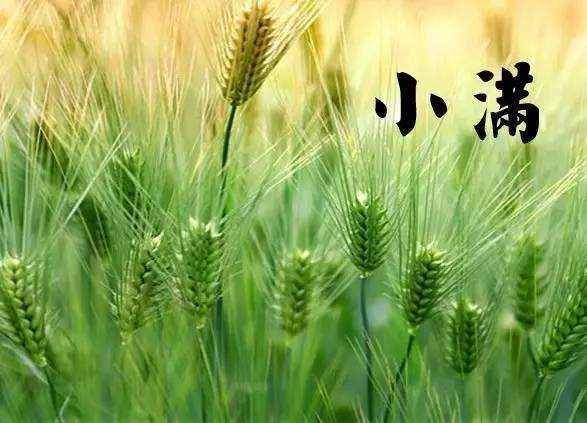  过了小满之后：季节不同，气候不同，想要渔获多一些，钓法也要随着变