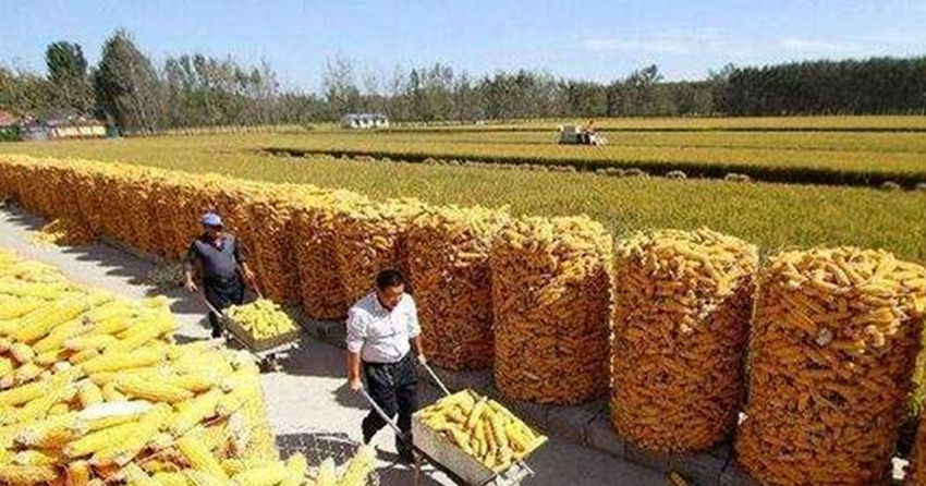  【补贴】9月这几笔补贴会陆续到账，你一卡通有消息了吗？农民要