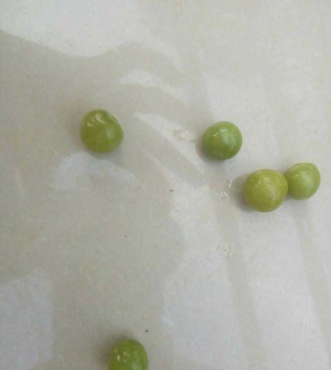  「根茎」农村小孩当玩具，城里却当“黄金果”卖15一斤，你认识