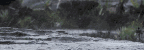 新一轮强降雨来袭，大雨＋暴雨＋大暴雨＋雷电大风！今起3天……