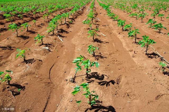 2019年，农村土地还没有确权的农民要吃大亏，现在知道还不晚！