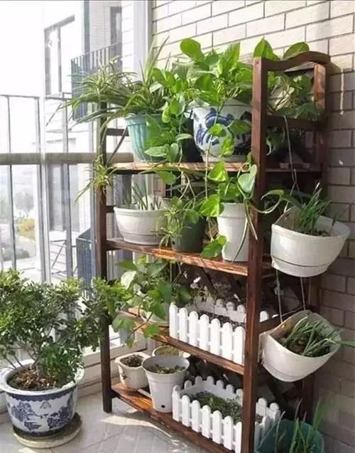  #花架#原来阳台还能这样种花，一看就像个花园，太漂亮了！