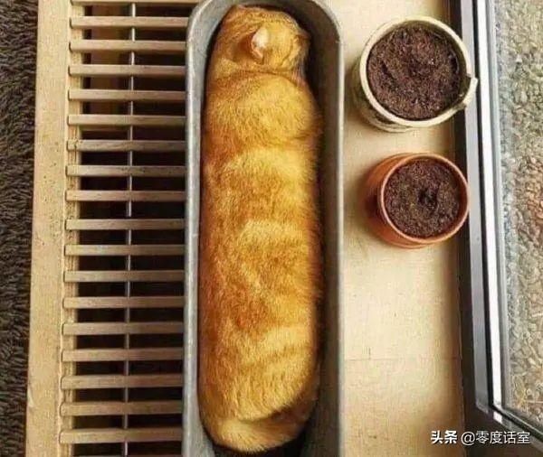  #身为#身为一枚吃货，馋起来看啥都像吃的！
