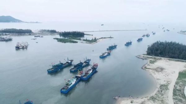 三亚渔民抓到一条鱼，有人出价92888元！它稀奇在哪？