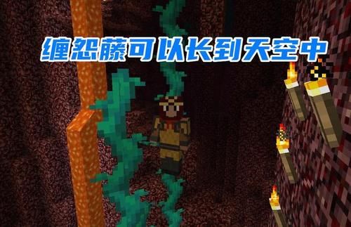  物品@我的世界：1.16中你不一定知道的新特性和新物品