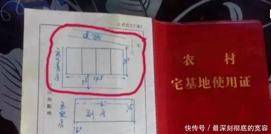 是农村户口, 家里有两个女儿, 能否申请宅基地