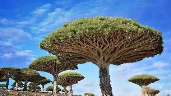 地球上“最不像地球”的四个地方，第一个美到窒息，第三个像火星