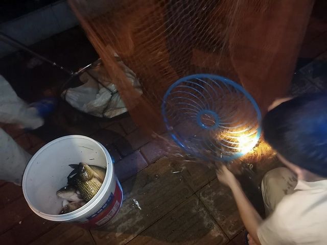  【河段】郴州一河段莫名出现大量死鱼！多名市民捕捞，可能是“热”的？