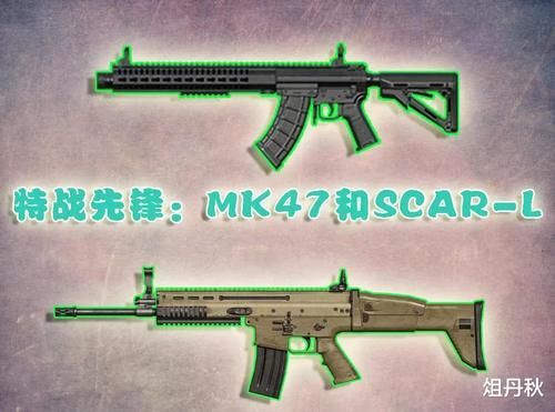 「步枪」刺激战场10把步枪来自哪美国入选4把,中国只有1把冷门枪