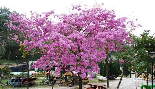  「红红火火」4月份起，事业运如虹，贵人运爆棚，几大星座职场上红红火火
