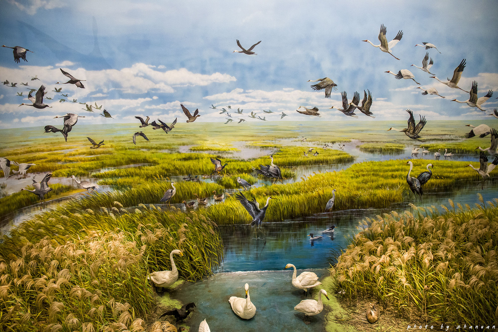 东营丨走过沧海桑田，终是在芦花飞雪的秋日遇见你