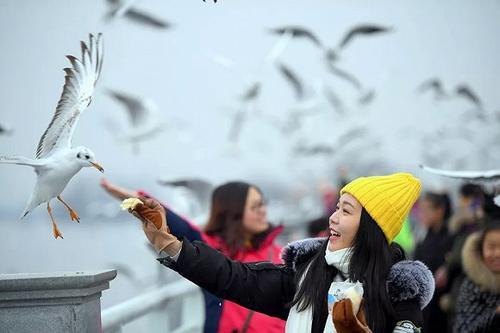 云南，不只是一个地名，更是世人向往的“诗和远方”