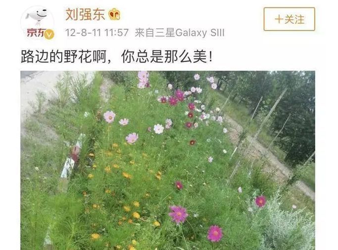 强东霸屏 京东方先跌为敬!A股如戏 炒股要有想象力