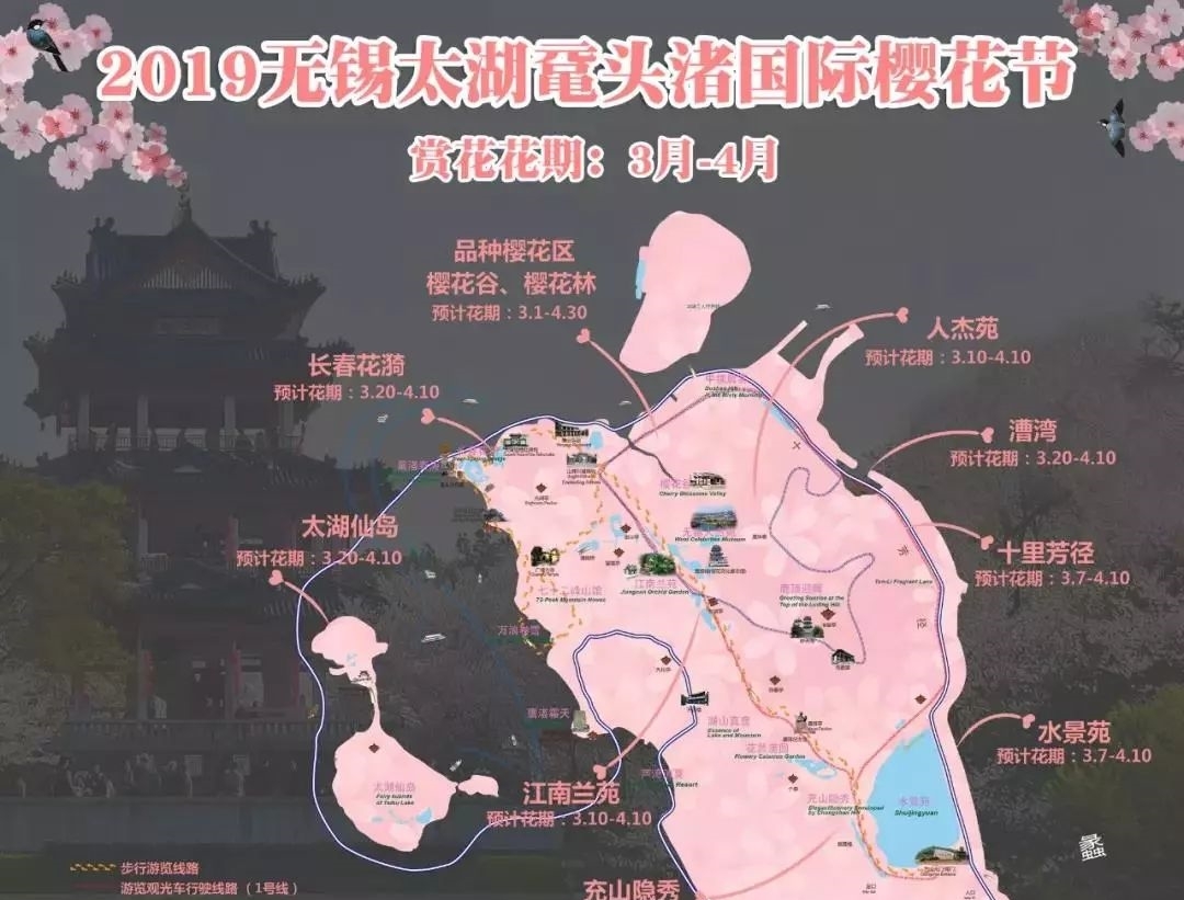 到无锡鼋头渚参加樱花节：让世界三大赏樱胜地之一给你个明媚春天