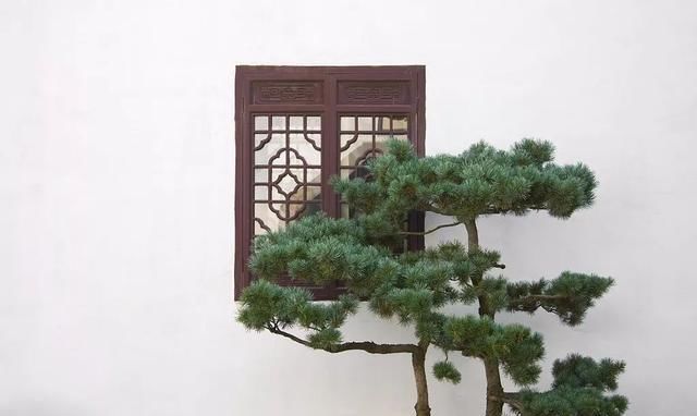  『中式』中式庭院，越看越喜欢...