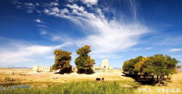  #一起走#全球沙漠最多的国家，正在悄悄的消灭沙漠