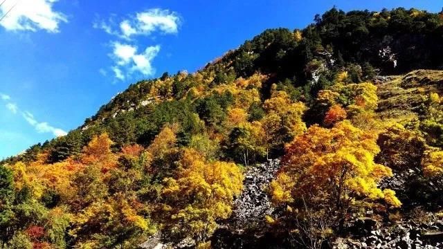 彩林之秋毕棚沟 | 赏秋要趁早!9月份就可以来这里赏红叶彩林了