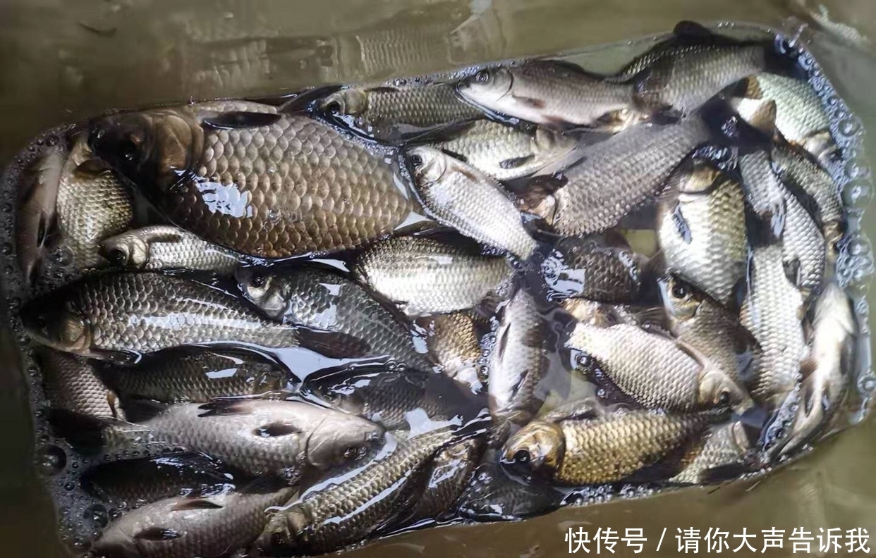 钓鱼■新手钓鱼经常忽略的三个问题,学会避免,秒变大师
