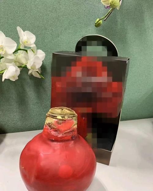  朱顶红：看见这花可别买，忍住，小心被忽悠，花钱买气受！