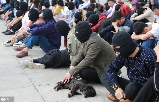 近年农村，“新四害”频出具体指啥？农民苦不堪言，该管管了