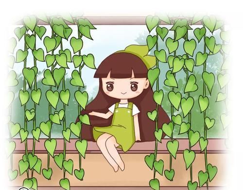 『图片作者』7种花现在长最快,像我这么养,蹭蹭爬成电视墙!