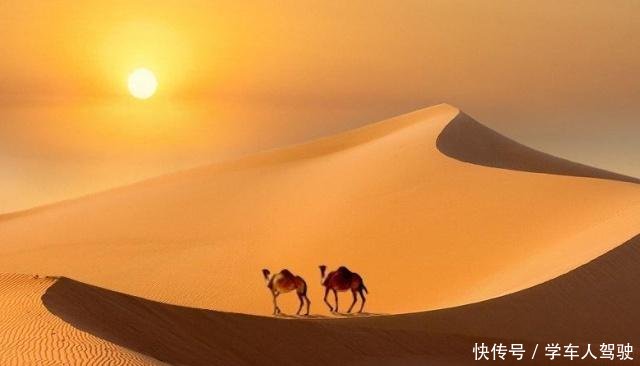 中国有那么多沙漠，为什么不用沙漠的沙子盖房专家道出3个原因