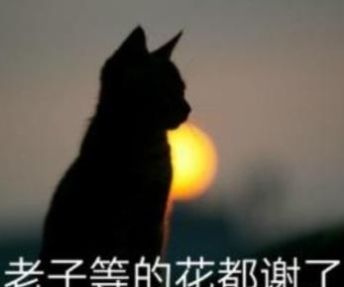 通知！国家公布最新休假安排，最高一次可休30天！