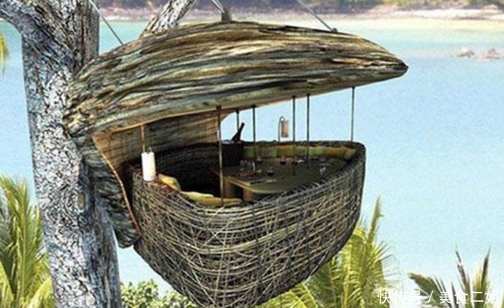 菲律宾用树屋的小把戏吸引眼球，在中国游客身上捞金，赚翻了