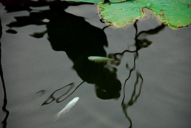 原始的风景，景色如画醉人（原创散文）