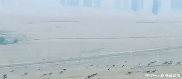 澳大利亚大火主要在哪里