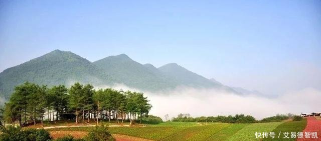 国务院点名! 沙坪坝、江北、涪陵、万州……这20个区都在榜!