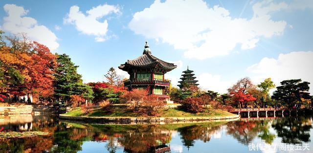 大量辞退中国员工, 这个国家你过了, 网友再也不去了