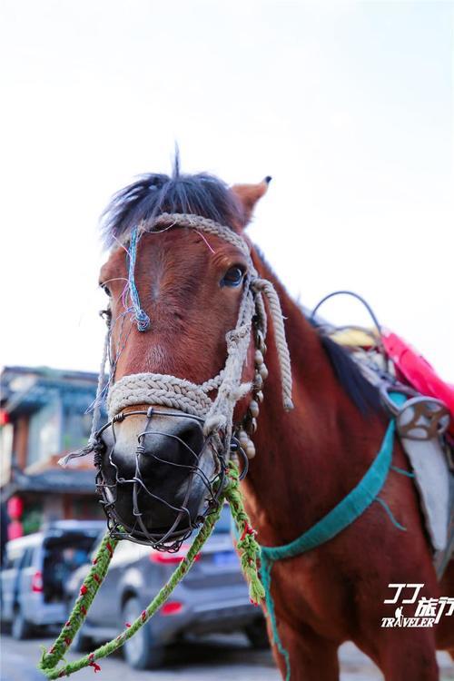 能够享受一日清闲的束河古镇，你真的了解吗？