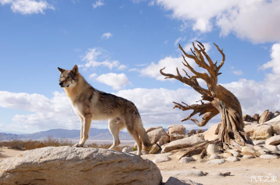 万里西游川甘青新第16天穿越大柴旦盐碱荒漠无人区游水上雅丹