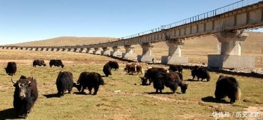 一辆需要签“生死状”的列车，几乎趟趟爆满，乘客：多危险我都去