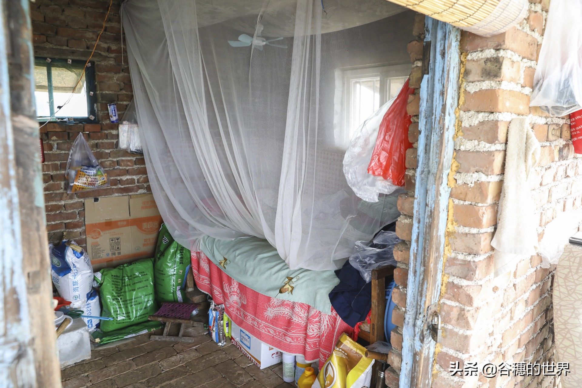 黄河岸边曾经的农村盐碱地，现在12000个虾池，农民们的梦想