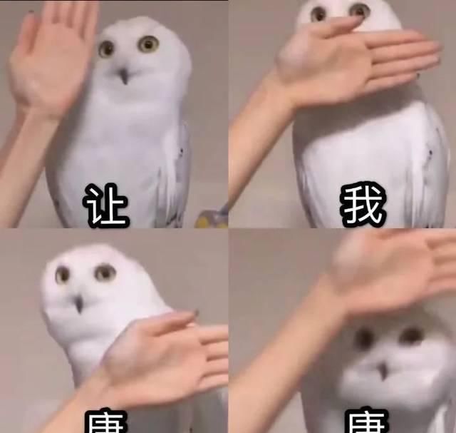 平淡无奇:Get这种春天颜色,你还可以是平淡无奇的谈恋爱小天才!